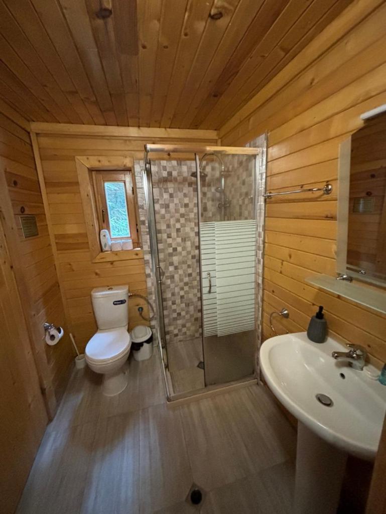 Chalet Sofia Borovets Exteriör bild
