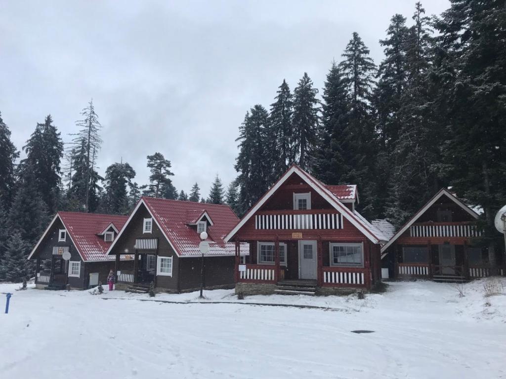 Chalet Sofia Borovets Exteriör bild