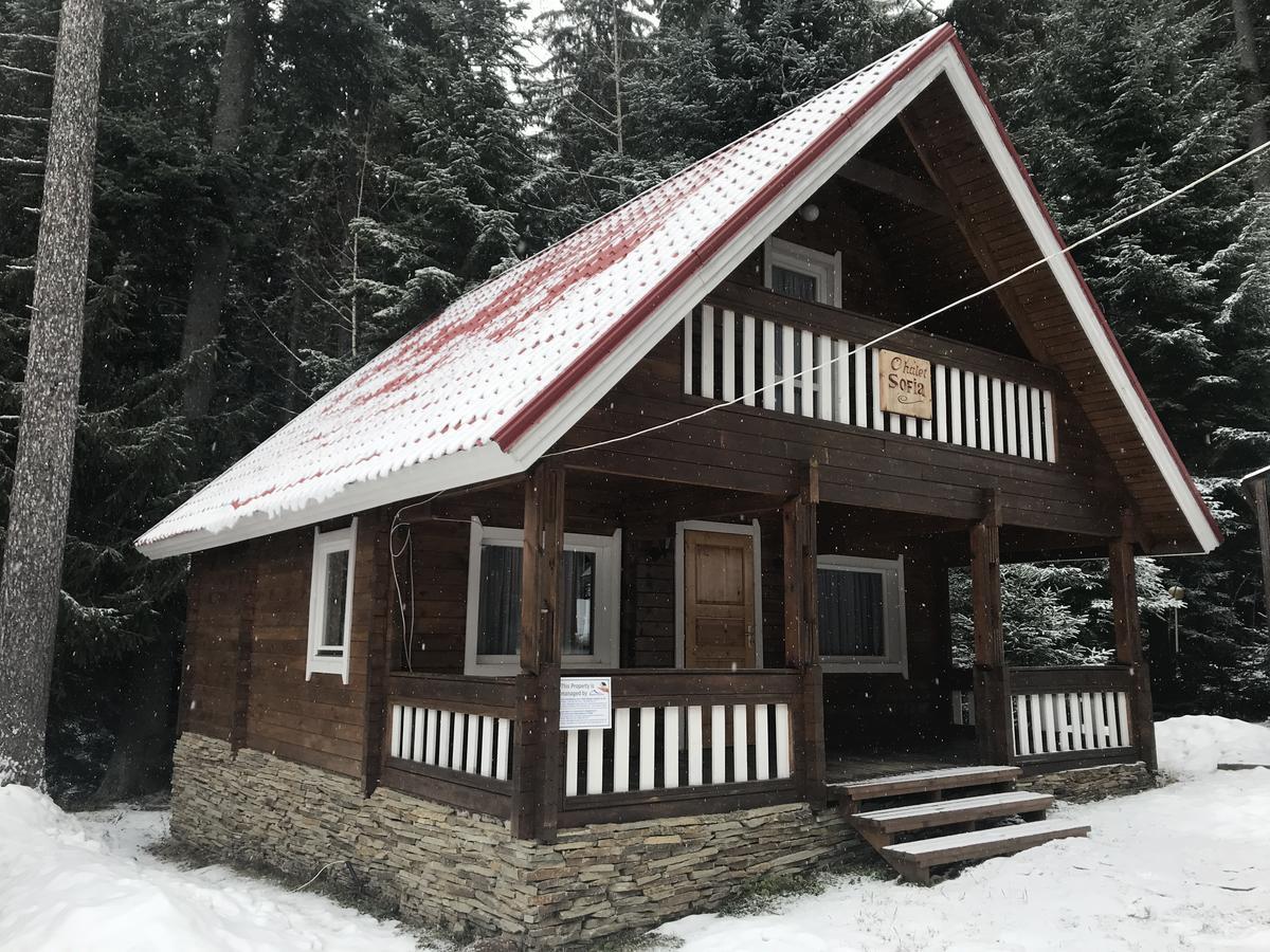 Chalet Sofia Borovets Exteriör bild
