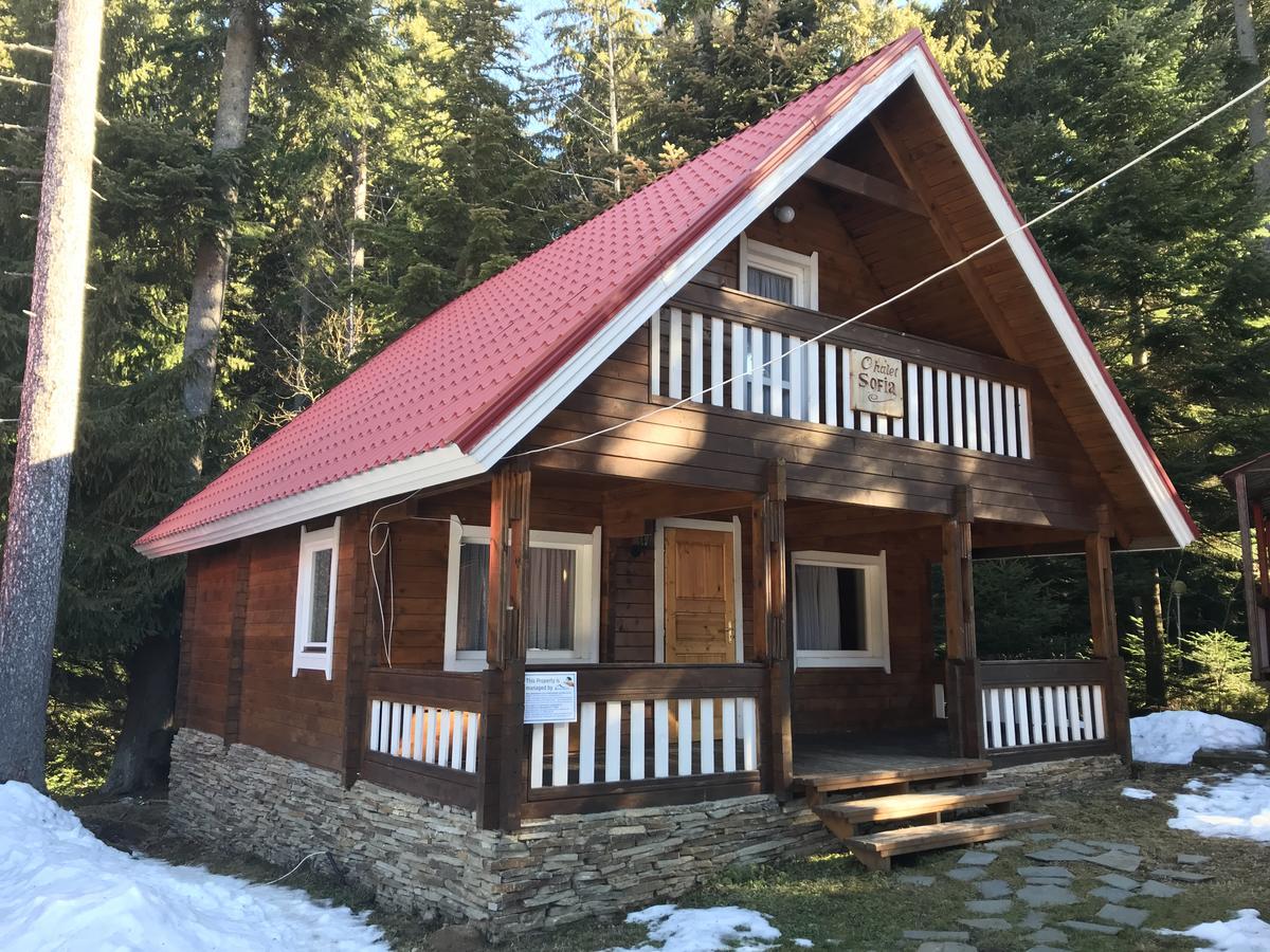 Chalet Sofia Borovets Exteriör bild
